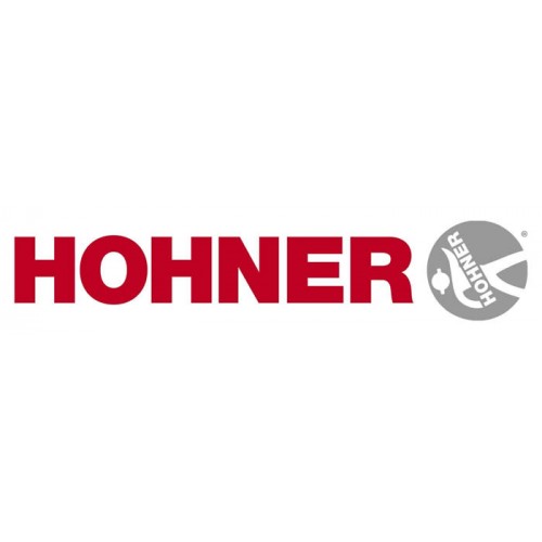 Hohner Silver Star 504 / 20 D диатоническая губная гармошка в тональности D (''Ре'') (M50403)