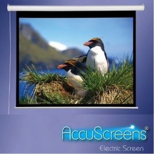 Draper Accuscreen Electric NTSC (3:4) 175*234 Моторизированный экран